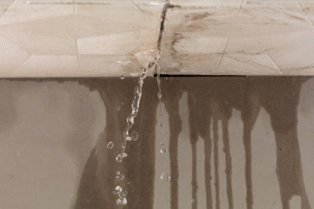 Professional Structural Drying technician working in Burghill, OH